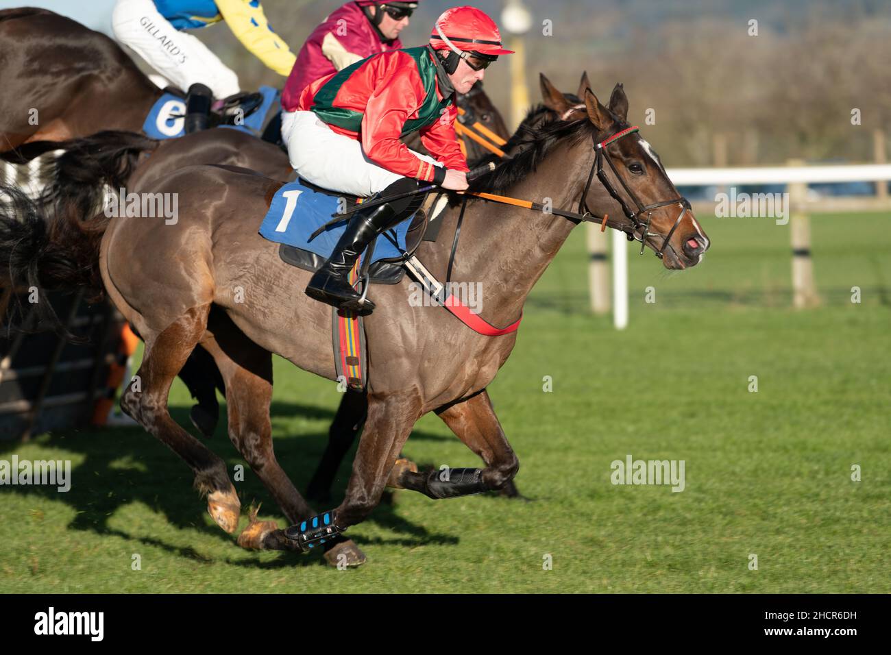 Rennen 3 in Wincanton Dezember 2nd 2021 Stockfoto