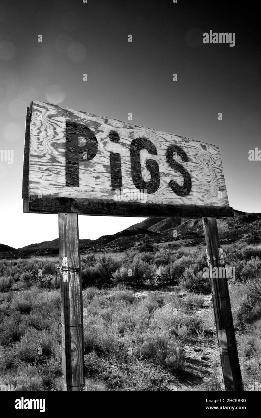 Ein selbstgebautes Straßenschild wirbt für Schweine zum Verkauf in der Nähe des ländlichen Ojo Caliente, New Mexico Stockfoto