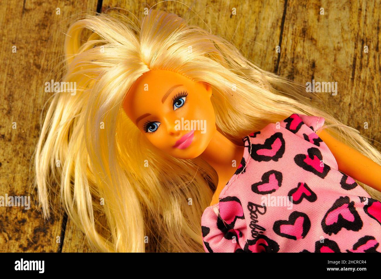 Barbie Puppe Porträt . Stockfoto