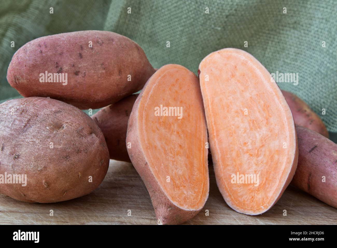 Kamote Knollen, Sorte von Süßkartoffeln 'Ipomoea batatas', philippinische Heilkräuterpflanze, Kalifornien, Stockfoto