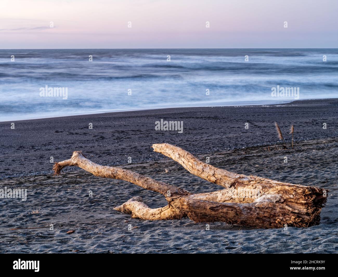 Ein Stück Treibholz, das am Strand in der Nähe des Sonnenuntergangs im Humboldt Lagons State Park in Kalifornien, USA, aufgespült wird Stockfoto