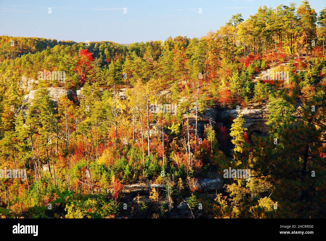 Herbst in den Highlands Stockfoto