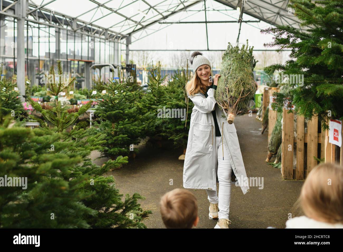 Mutter und Kinder kaufen einen normannischen Weihnachtsbaum in einem Geschäft Stockfoto