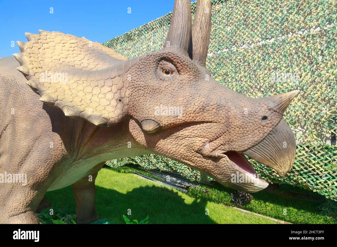 Der Kopf eines lebensgroßen Modells Triceratops, eines pflanzenfressenden Dinosauriers aus der späten Kreidezeit Stockfoto