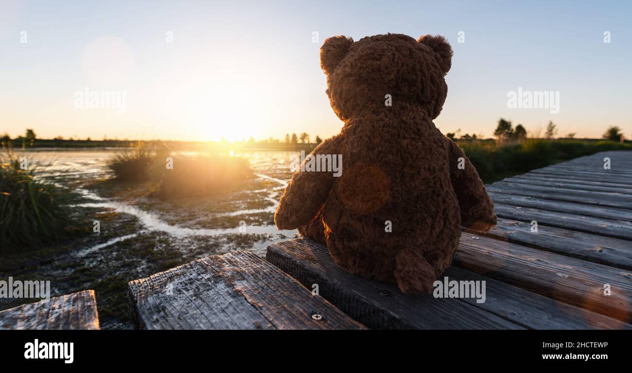 teddybär sitzt auf einem Steg/Pier an einem See bei Sonnenuntergang, Rückansicht. Love-Thema. Konzept über Liebe und Beziehung. Copyspace für Ihren individuellen Text Stockfoto