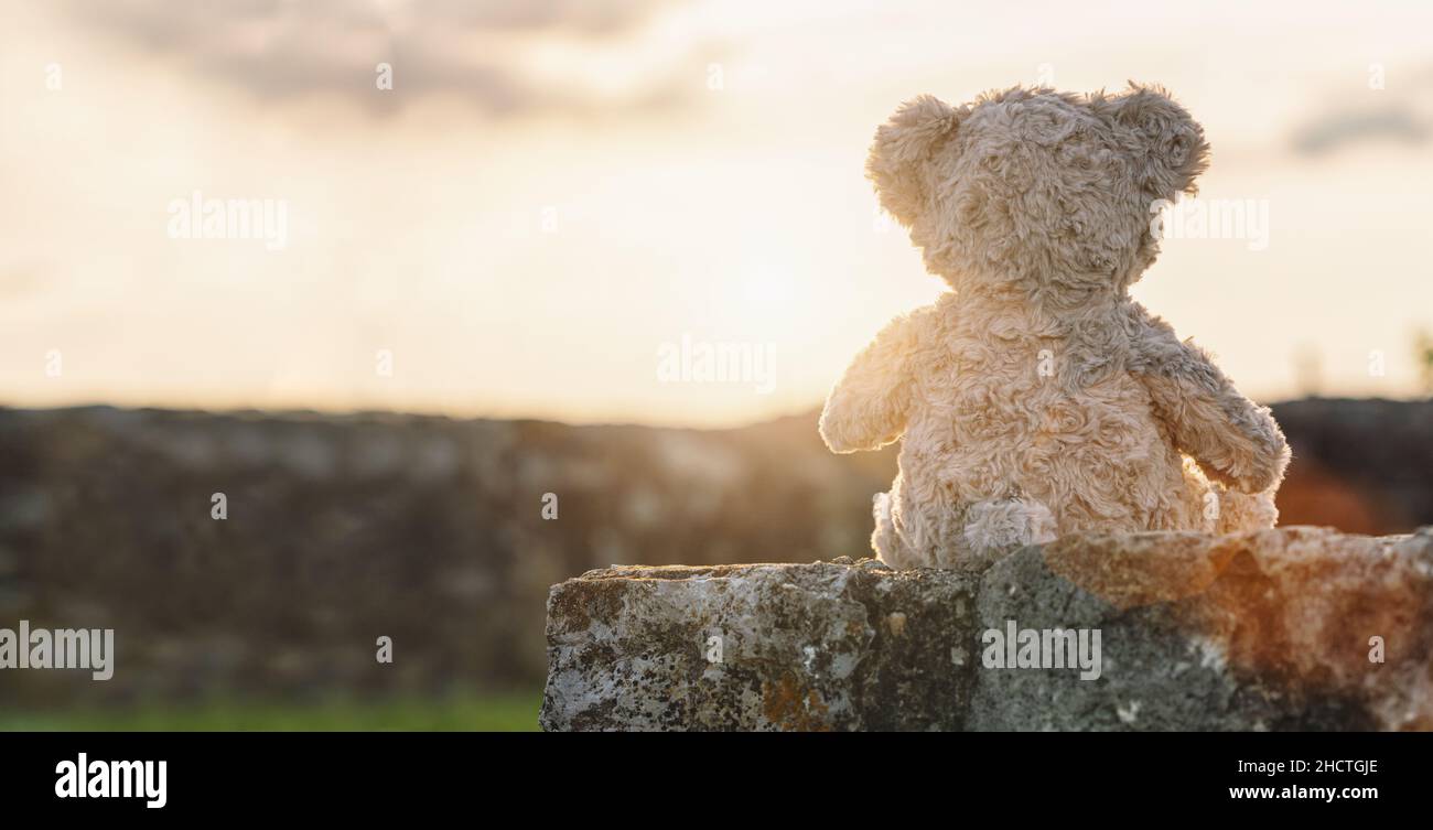 Teddybär sitzt bei Sonnenuntergang auf einer Steinwand. Copyspace für Ihren individuellen Text. Stockfoto