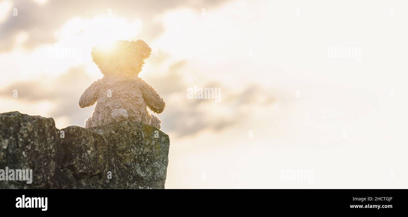 Teddybär sitzt bei Sonnenuntergang auf einem Stein. Copyspace für Ihren individuellen Text. Stockfoto