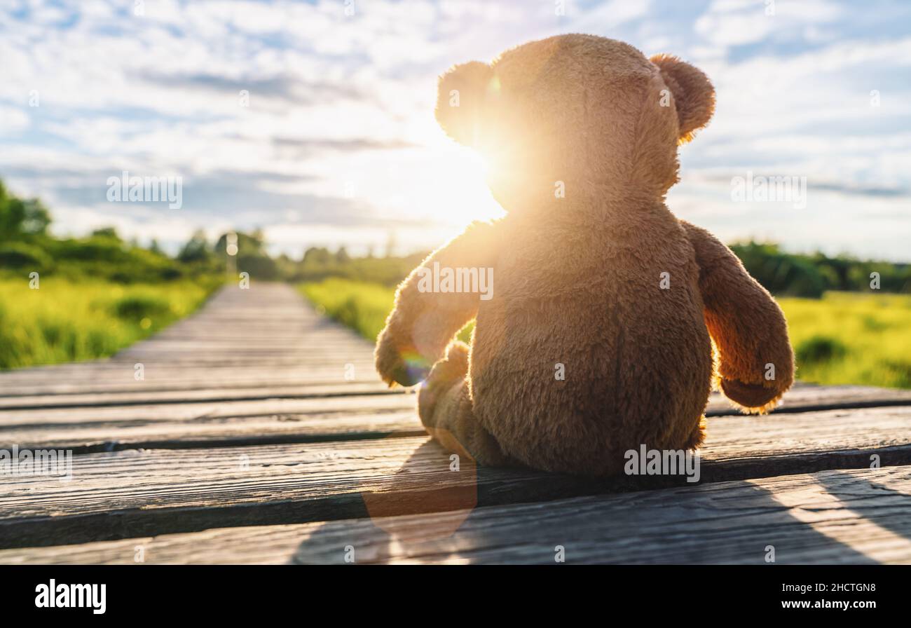 lonley Teddybär sitzt bei Sonnenuntergang auf einem Holzweg. Copyspace für Ihren individuellen Text. Stockfoto