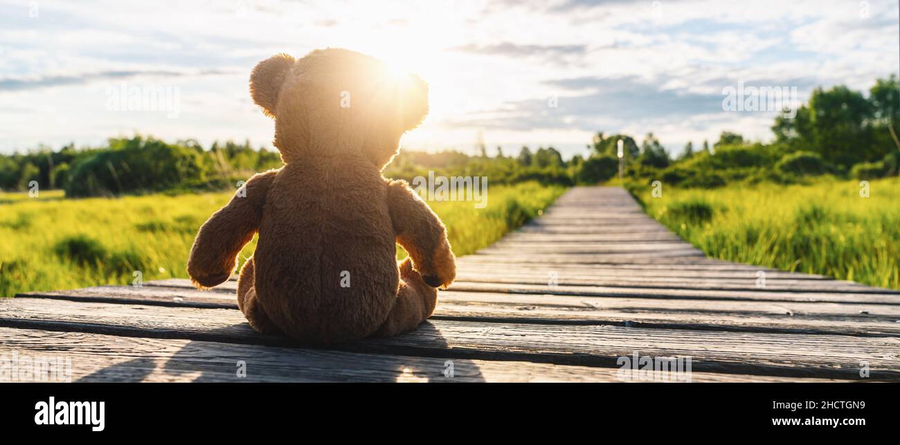 Teddybär sitzt auf einem Weg in die Sonne... Texteraum für Ihren individuellen Text. Stockfoto