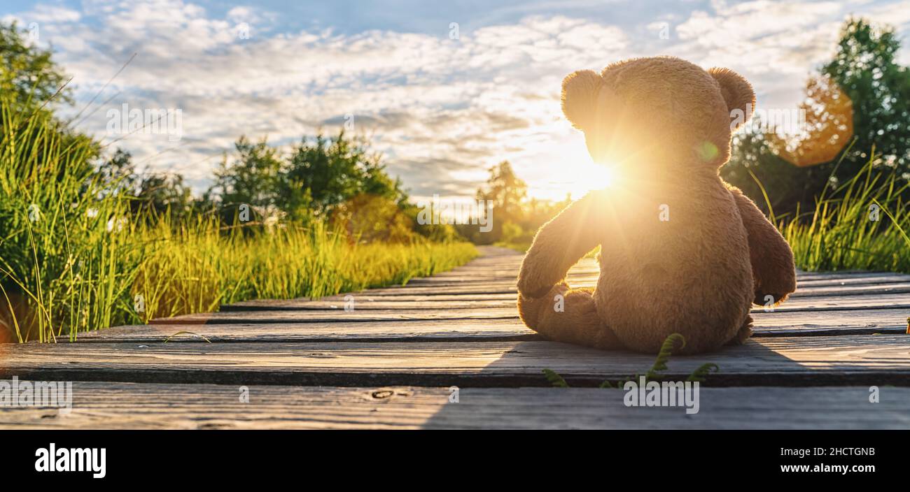 Teddybär sitzt bei Sonnenuntergang auf einem Holzweg. Copyspace für Ihren individuellen Text. Stockfoto
