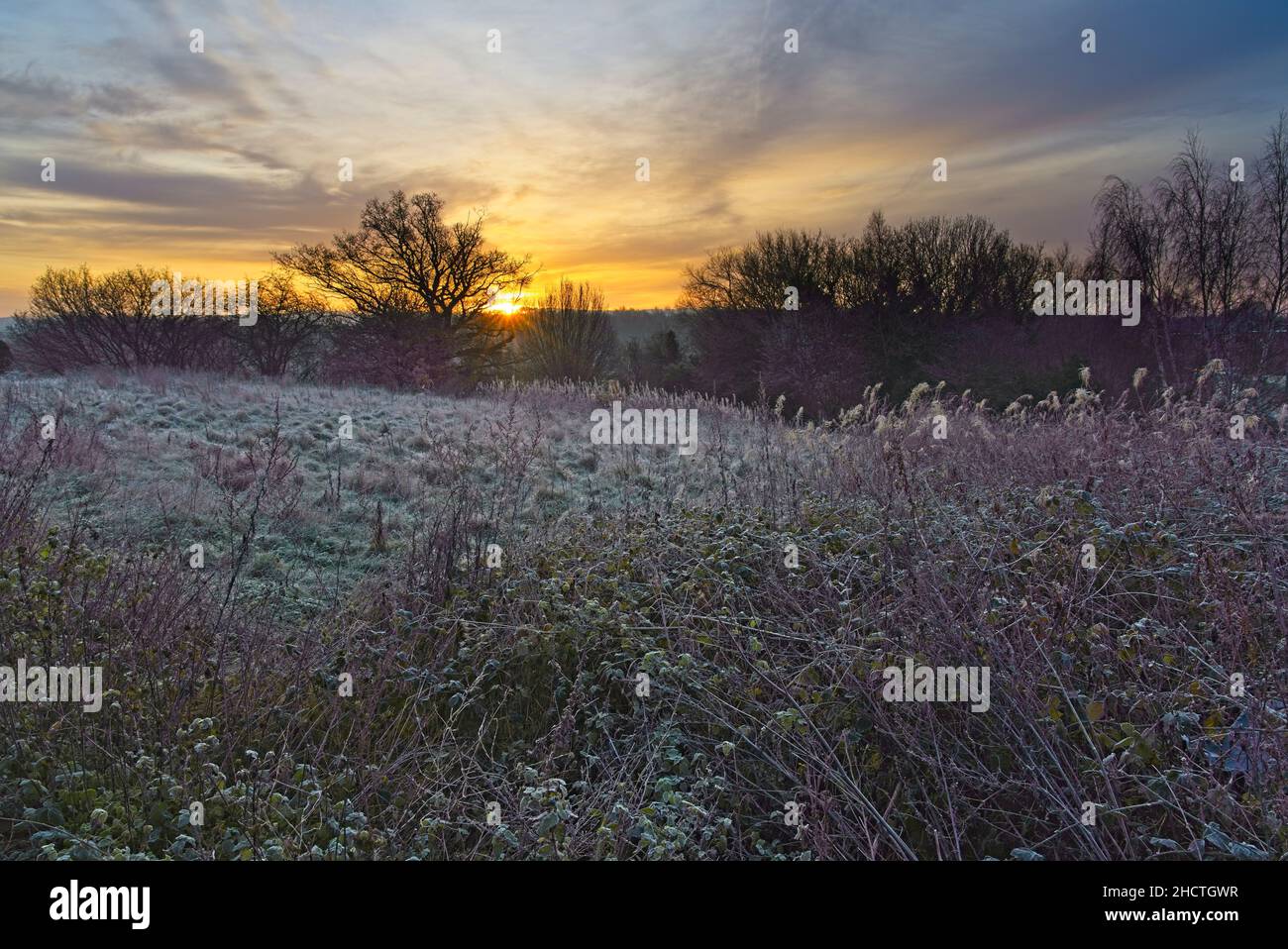 Über einer frostbedeckten Landschaft erhebt sich tiefes Wintersonnenlicht. Stockfoto