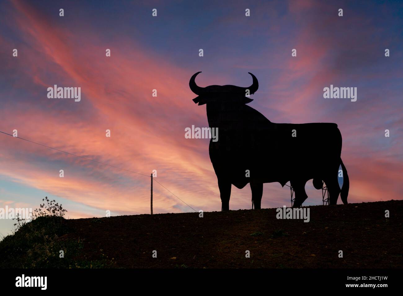Ein Osborne Black Bull Schild. Dieses befindet sich in der Nähe von Casabermeja, Provinz Malaga, Andalusien, Südspanien. Das Bullenzeichen wurde ursprünglich zur Werbung gemacht Stockfoto