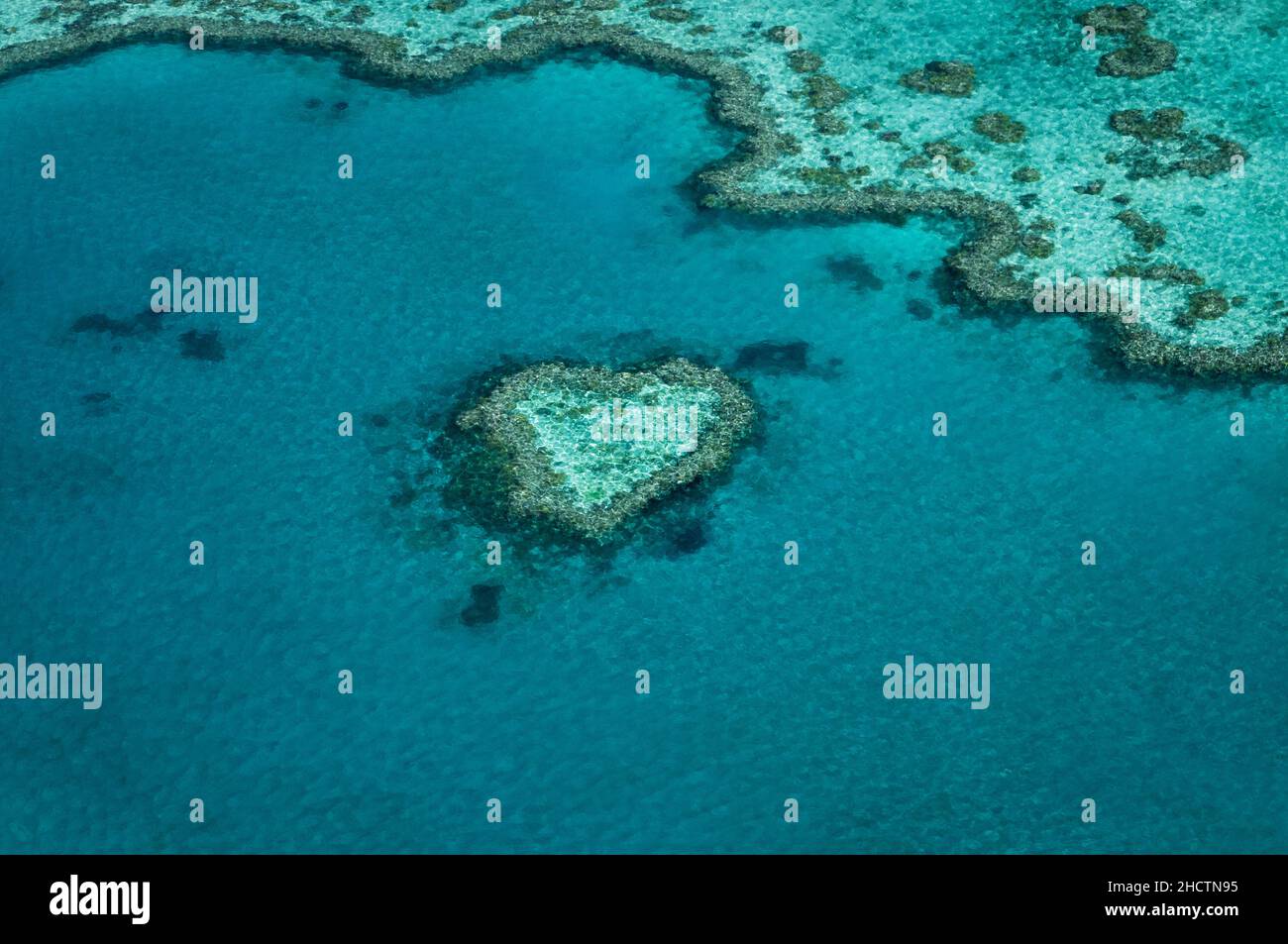 Berühmtes Heart Reef im zum Weltnaturerbe zählenden Great Barrier Reef. Stockfoto