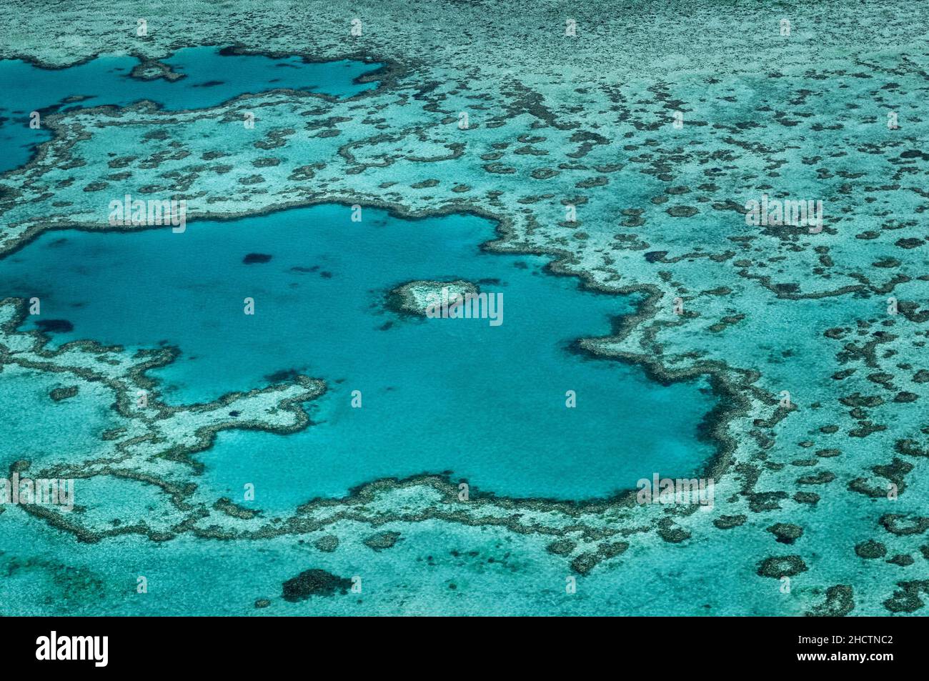 Berühmtes Heart Reef im zum Weltnaturerbe zählenden Great Barrier Reef. Stockfoto