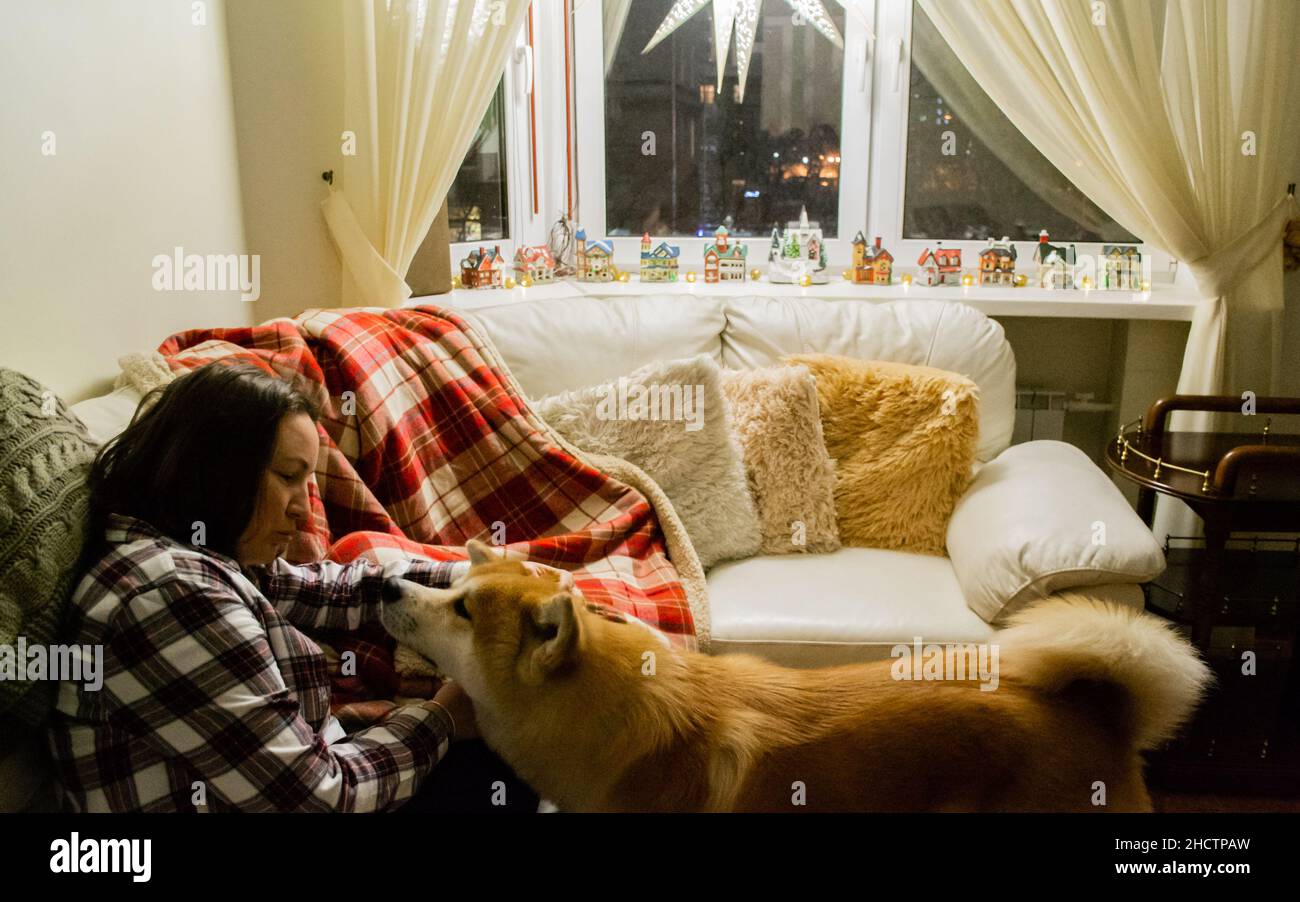 Eine junge Frau auf einem Sofa im Gespräch mit Akita Hund. Weihnachtsstern am Fenster: Weihnachtsdekor. Gemütliches Zuhause. Stockfoto