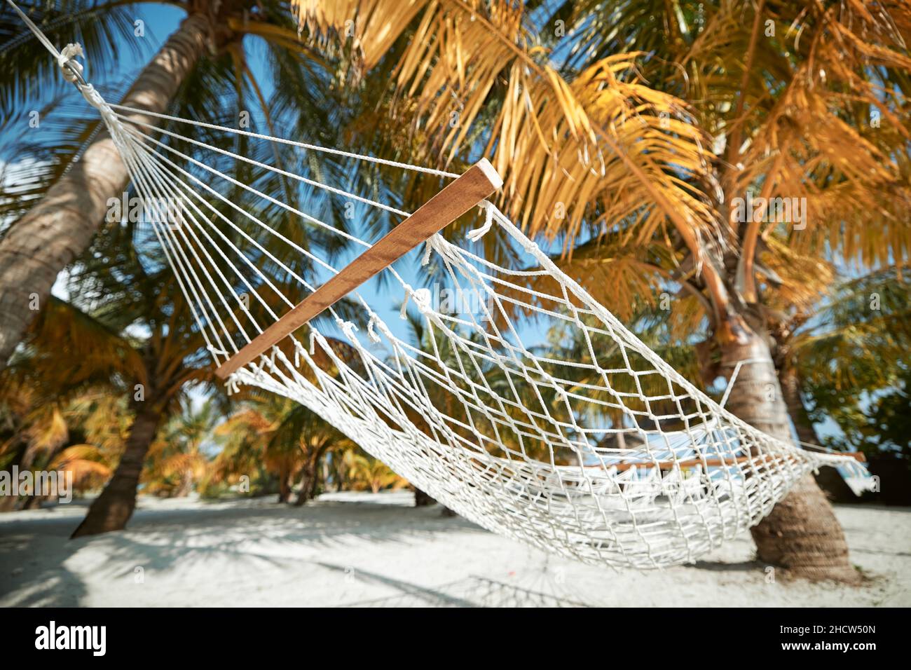 Hängematte hängen zwischen zwei Kokospalmen am weißen Sandstrand. Themen Reisen, Entspannung und Urlaub. Stockfoto