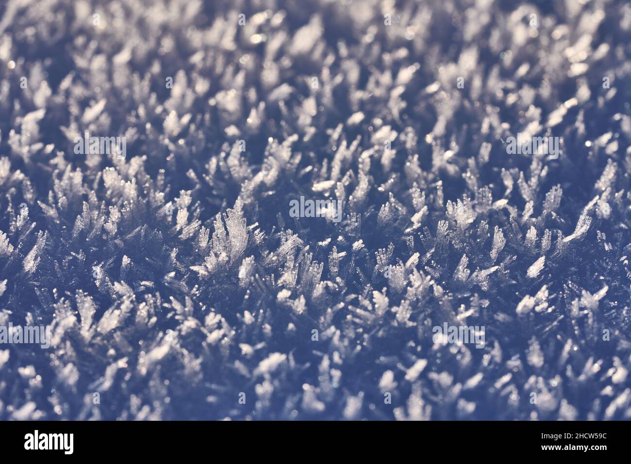 Makro von Reifkristallen nach kalter, frostiger Winternacht Stockfoto
