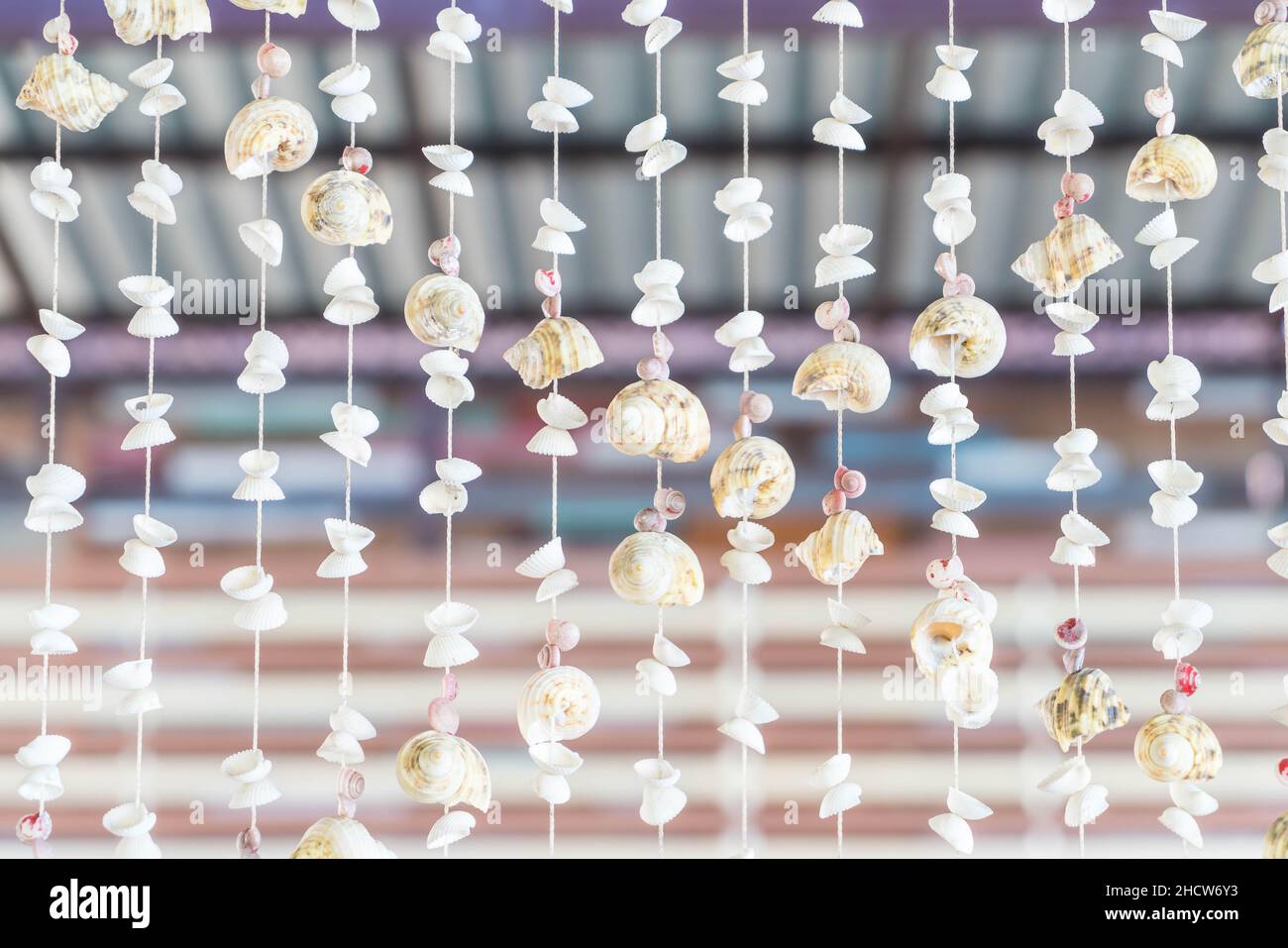 Gardinenschalen - Dekoration mit vielen verschiedenen Muscheln und Schnecken Stockfoto