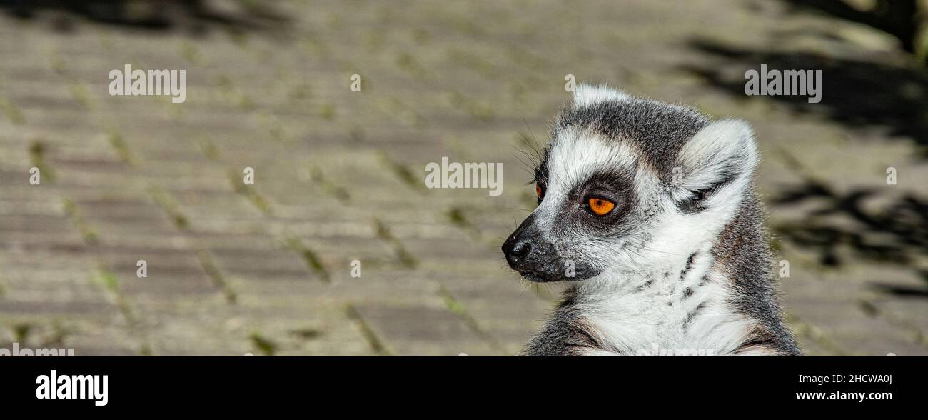 Naruto va Sakura jinsiy aloqa shaxsiy Rus super porno 20 dan 24 gacha