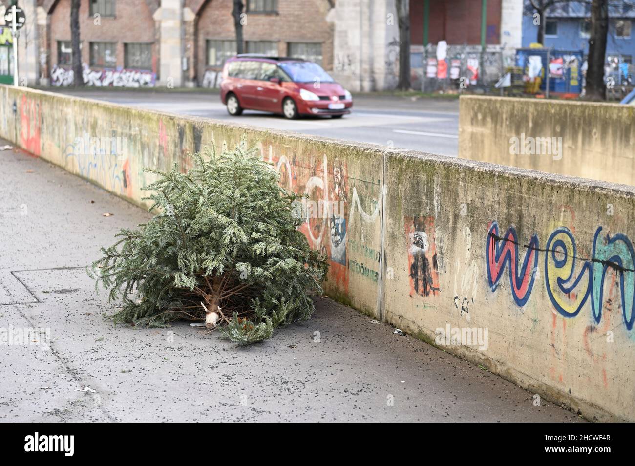 Weggeworfener Weihnachtsbaum liegt auf dem Bürgersteig Stockfoto