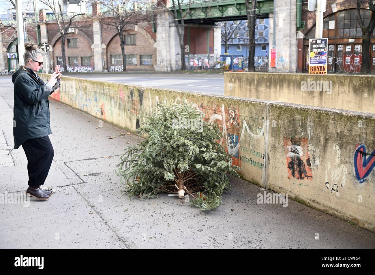 Weggeworfener Weihnachtsbaum liegt auf dem Bürgersteig Stockfoto