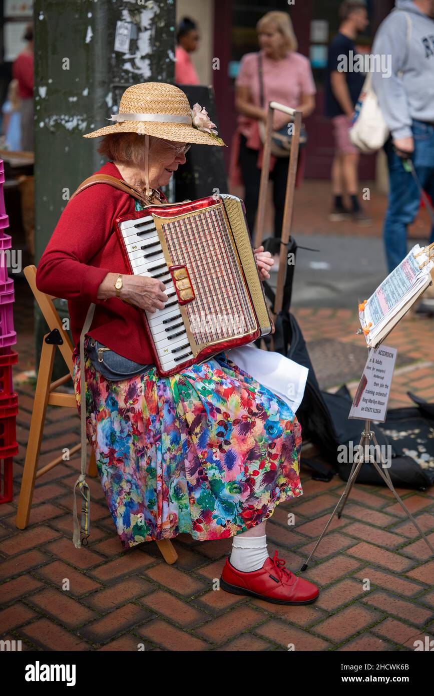 Ein Volksmusiker, der auf dem Stroud Farmers Market, Gloucestershire, Großbritannien, ein Akkordeon spielt. Stockfoto