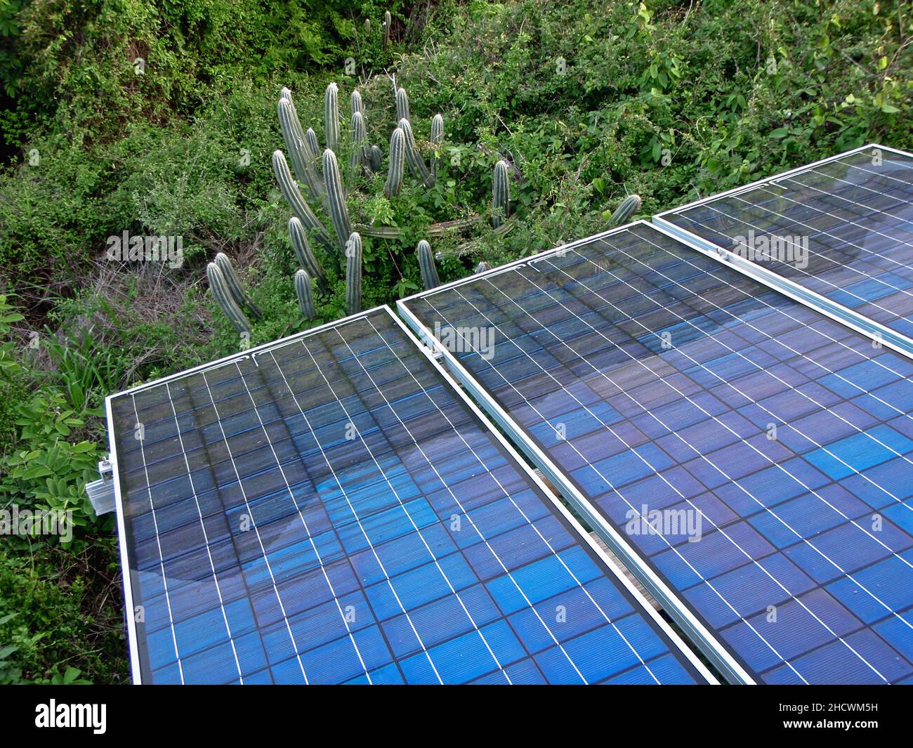 Songle Solarpanel in tropischer oder karer Umgebung Stockfoto