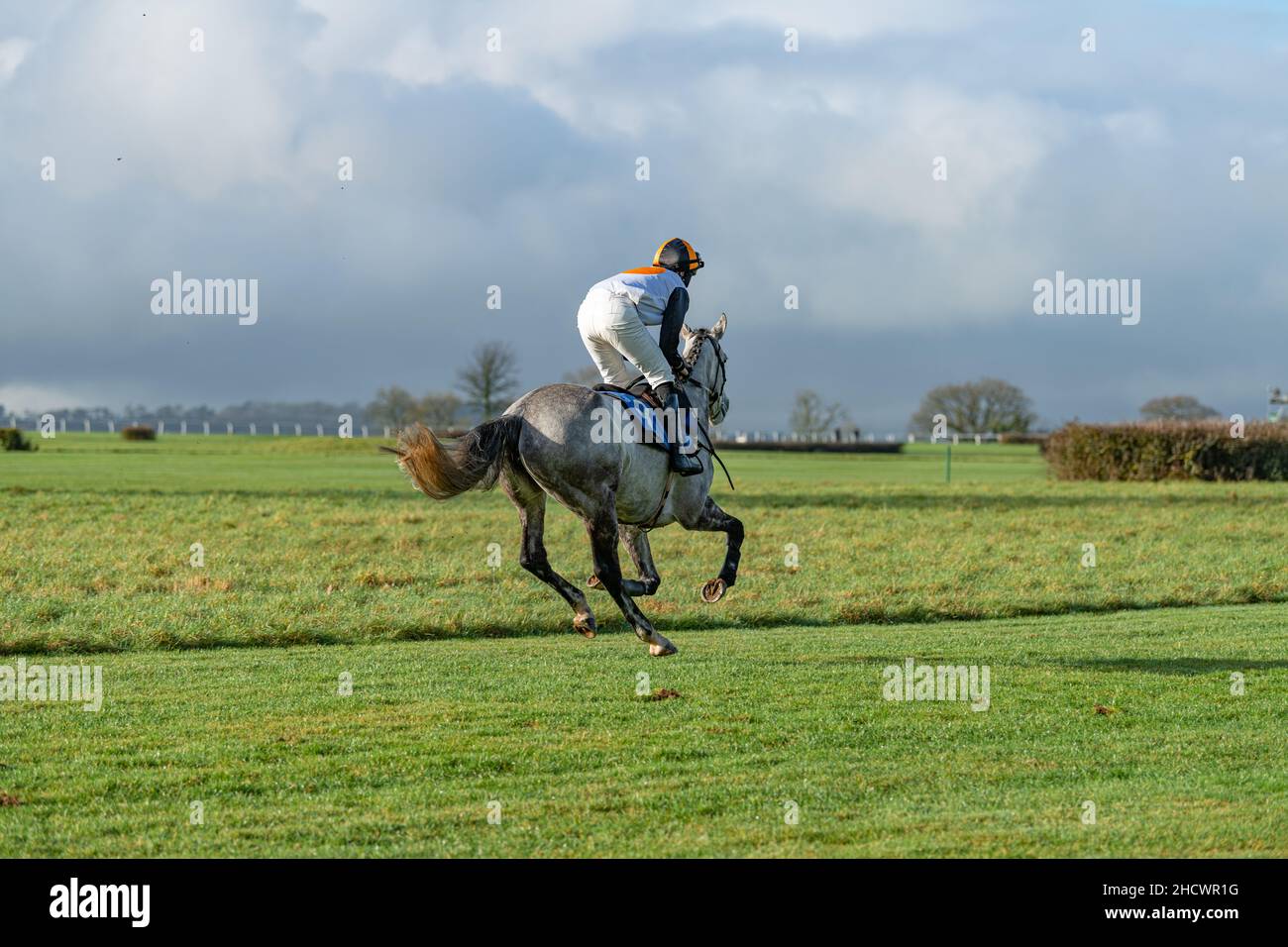 Boxing Day Rennen in Wincanton - Rennen 1 Stockfoto