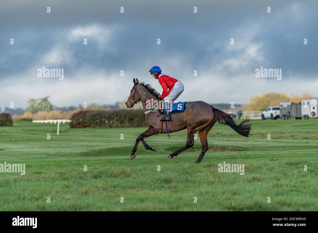 Rose von Arcadia läuft in Wincanton am zweiten Weihnachtsfeiertag 2021 Stockfoto