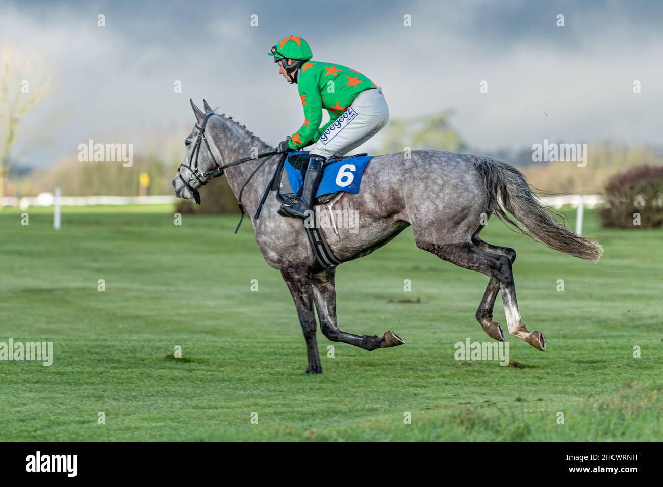 Belle de Manech - Sieger des zweiten Rennens Stockfoto