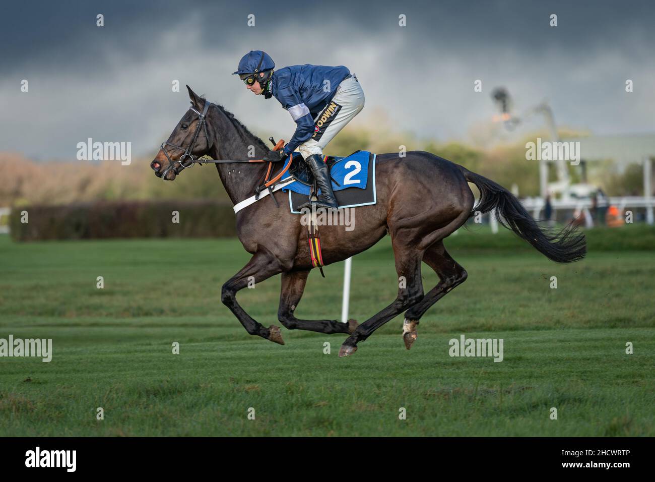 Fantastic Lady beim Wincanton Boxing Day 2021 Stockfoto