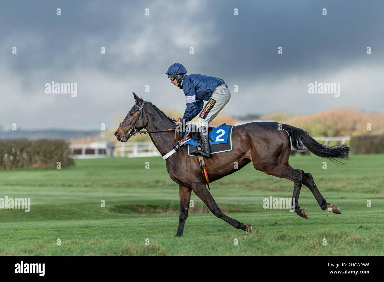 Fantastic Lady beim Wincanton Boxing Day 2021 Stockfoto