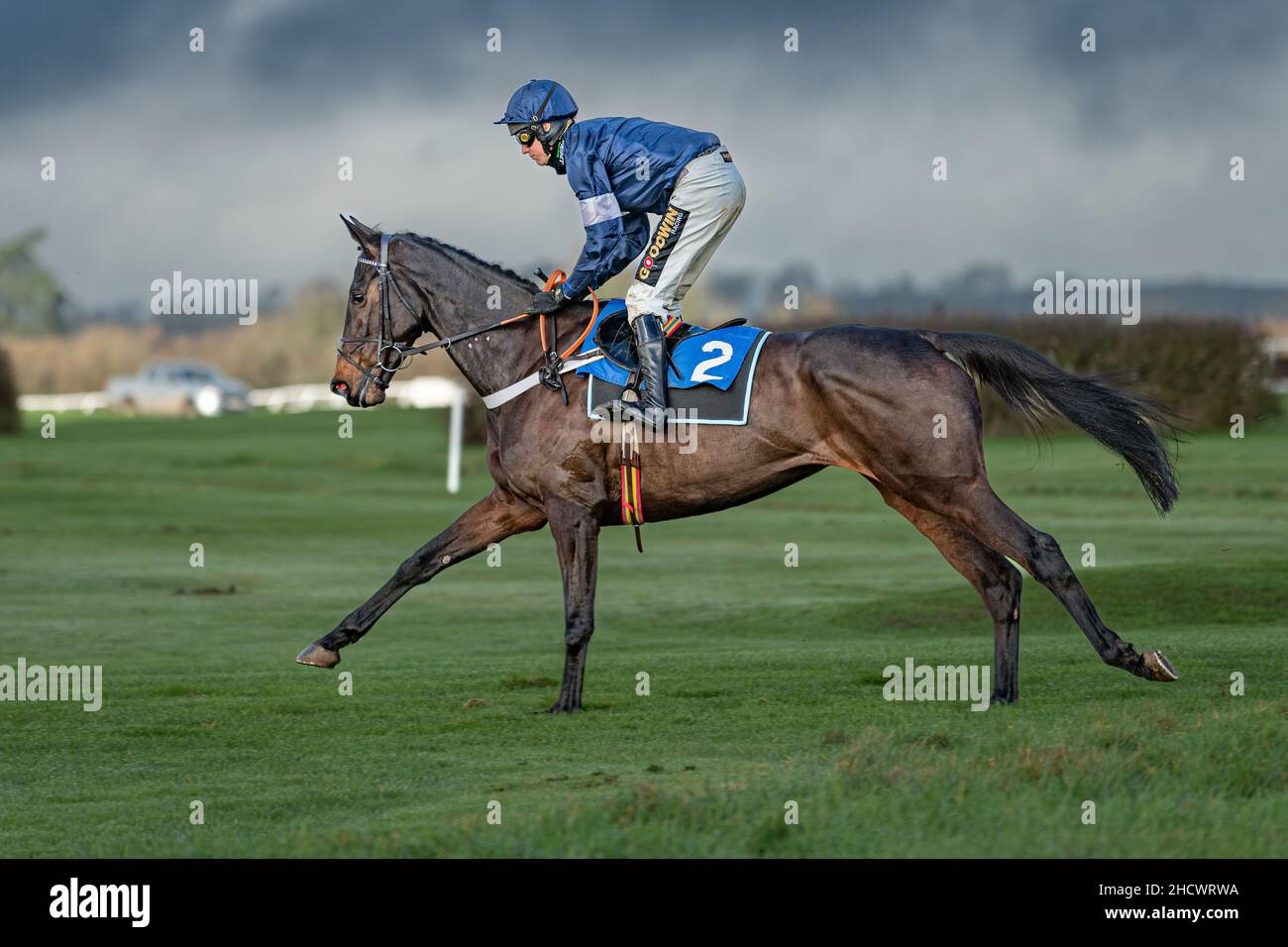 Fantastic Lady beim Wincanton Boxing Day 2021 Stockfoto