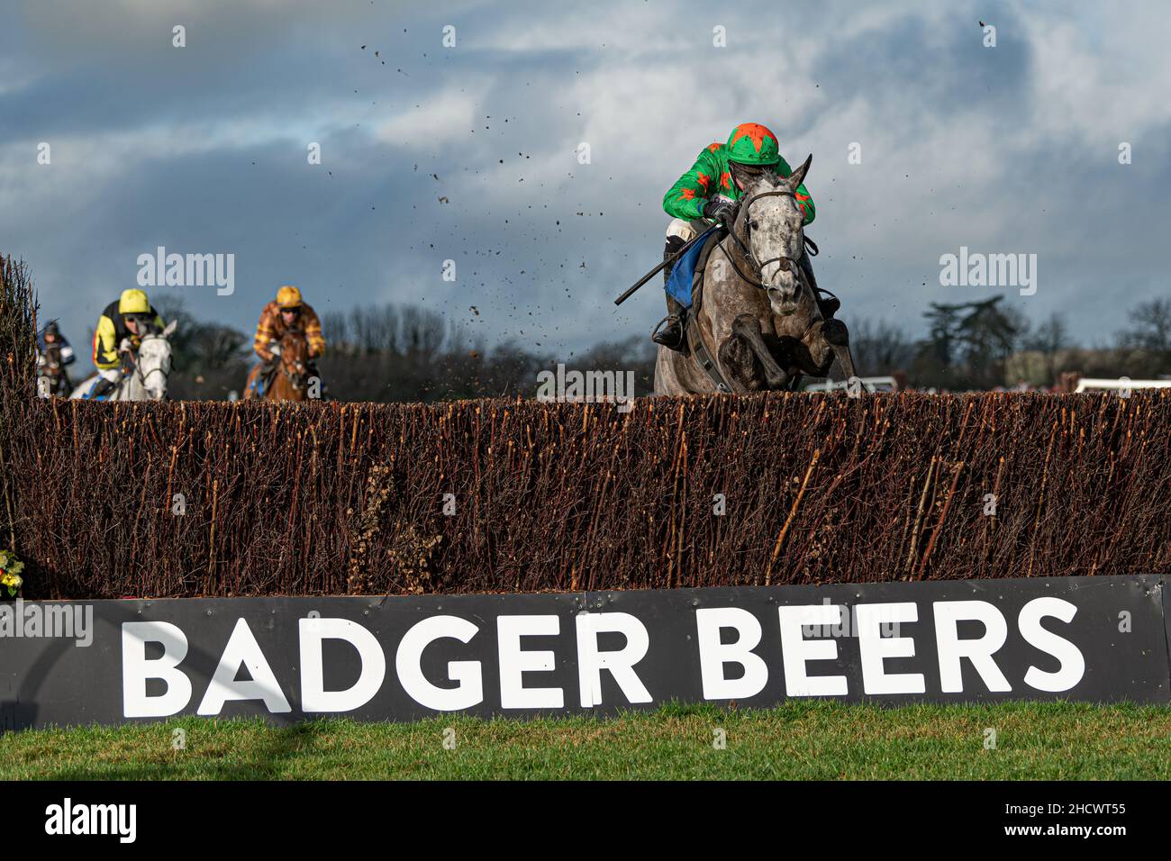 Belle de Manech - Sieger des zweiten Rennens Stockfoto
