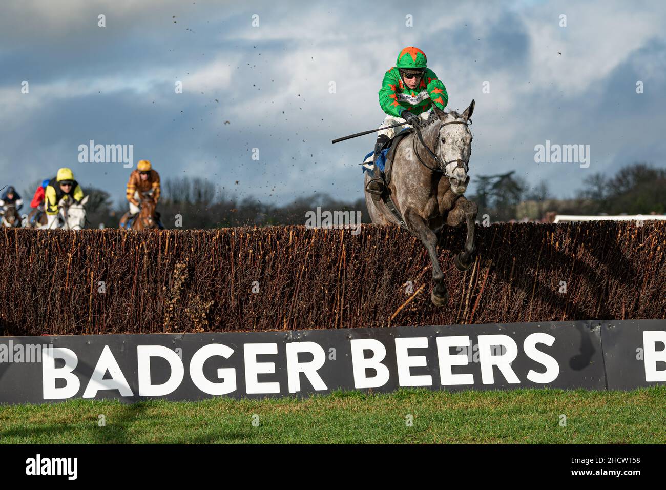 Belle de Manech - Sieger des zweiten Rennens Stockfoto