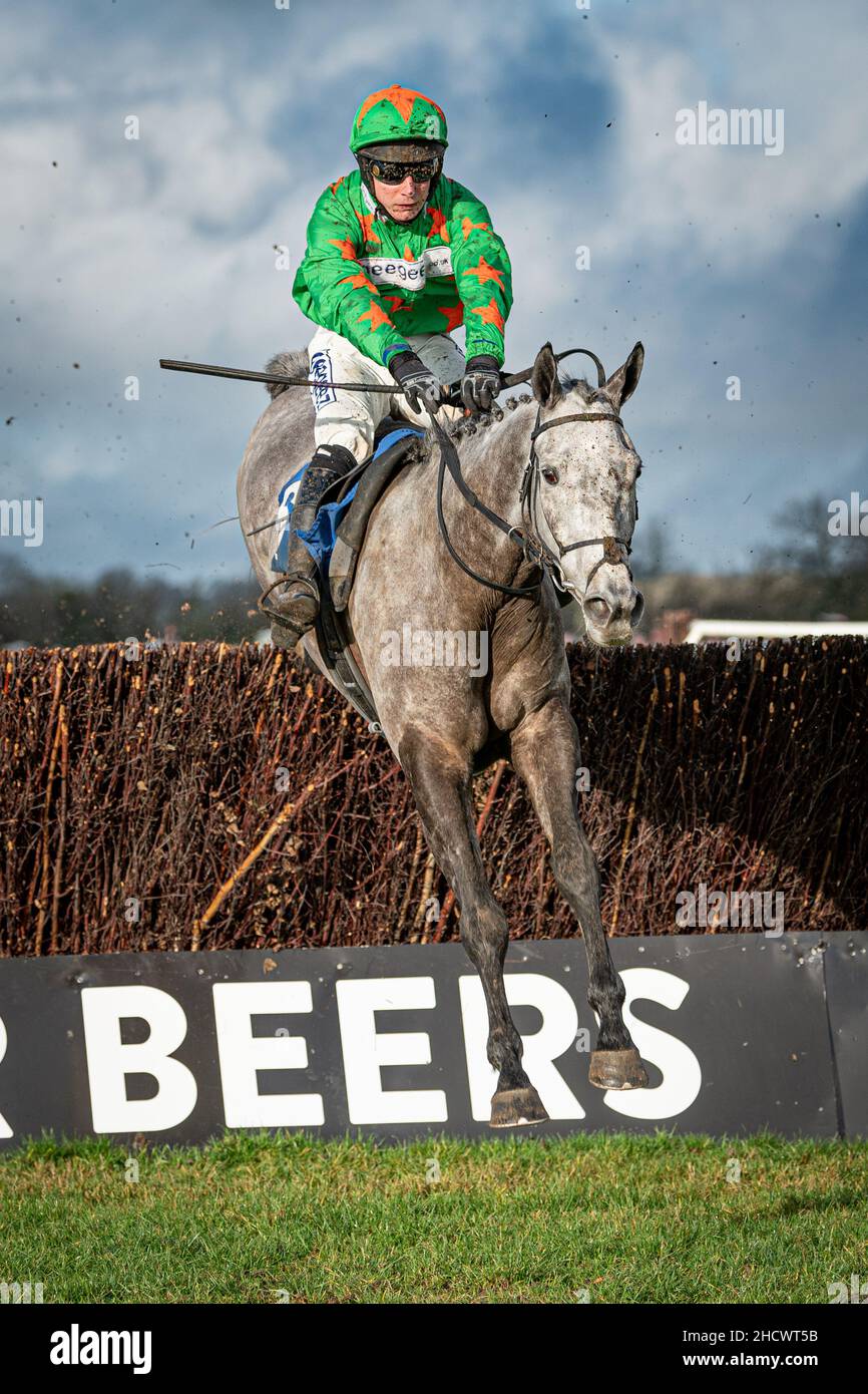 Belle de Manech - Sieger des zweiten Rennens Stockfoto