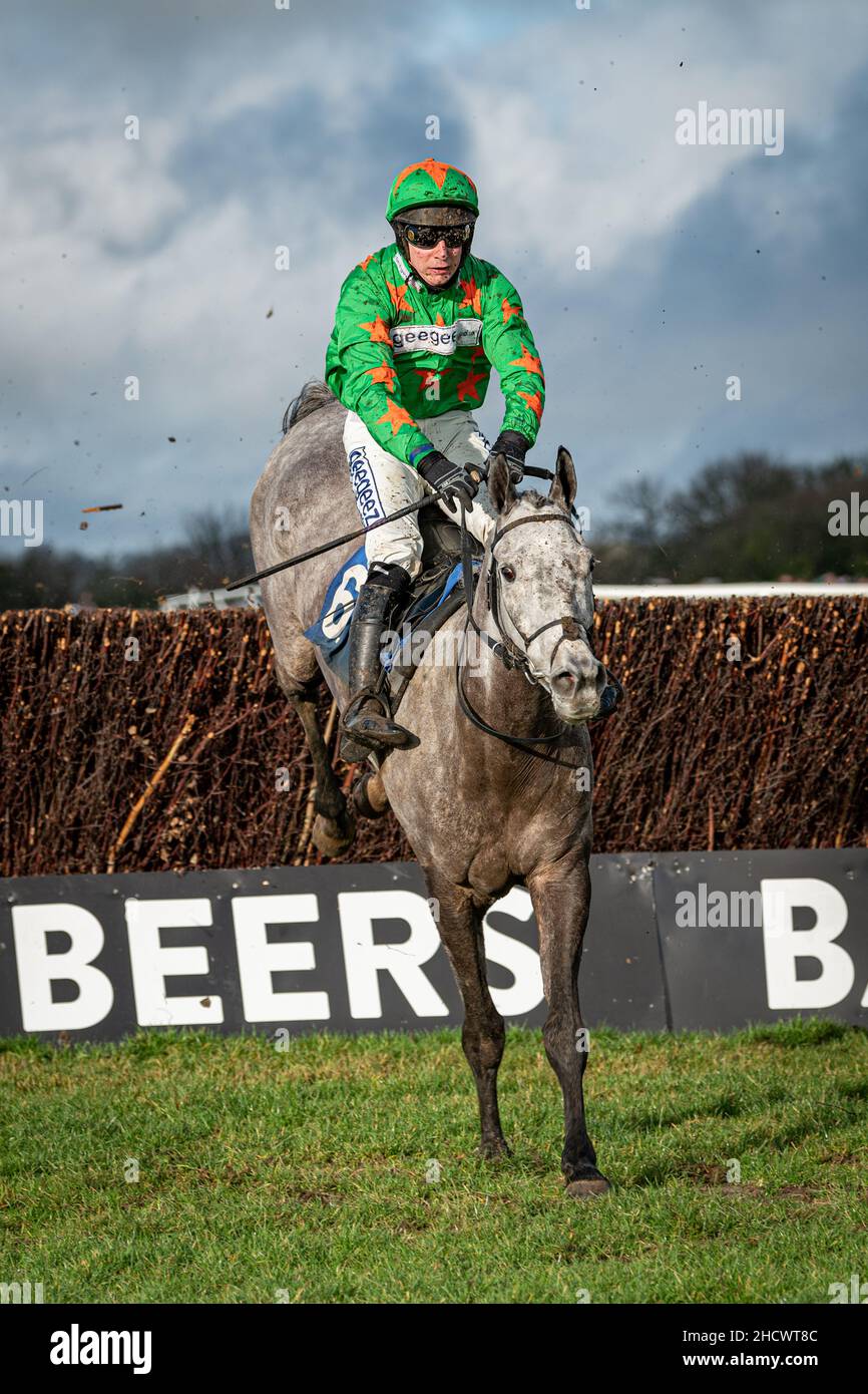 Belle de Manech - Sieger des zweiten Rennens Stockfoto