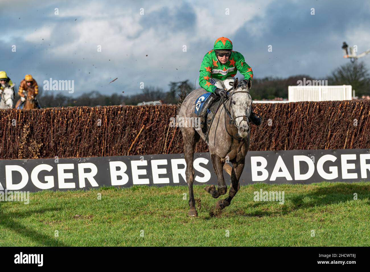 Belle de Manech - Sieger des zweiten Rennens Stockfoto