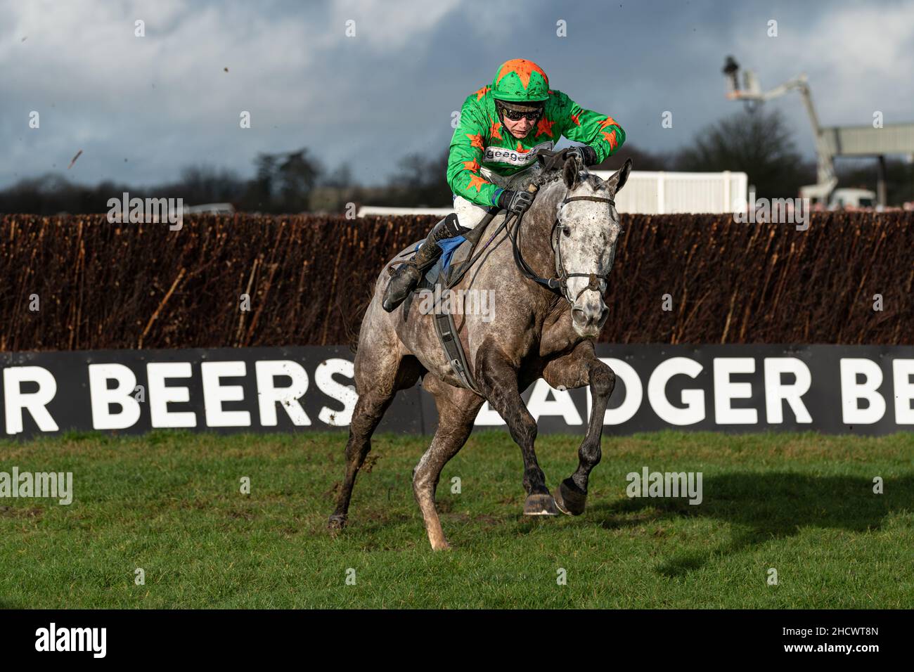Belle de Manech - Sieger des zweiten Rennens Stockfoto