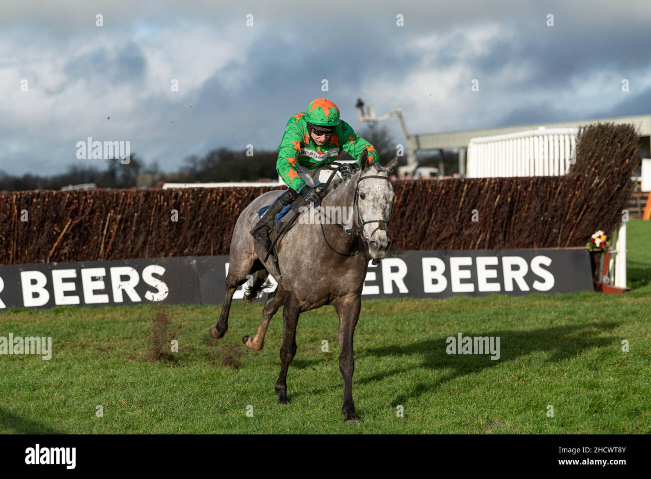 Belle de Manech - Sieger des zweiten Rennens Stockfoto