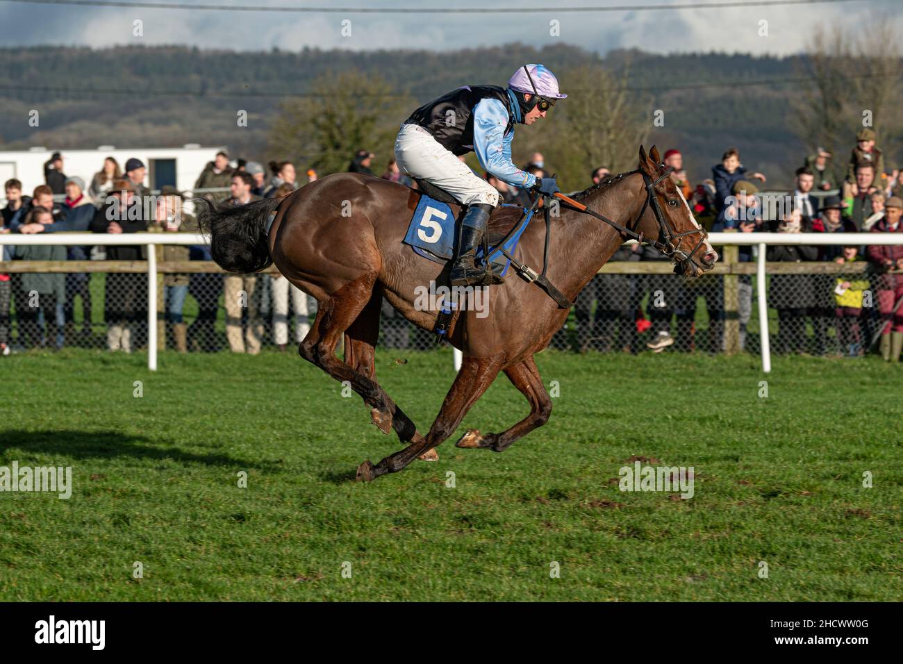 Urabamba läuft am zweiten Weihnachtsfeiertag 2021 in Wincanton Stockfoto