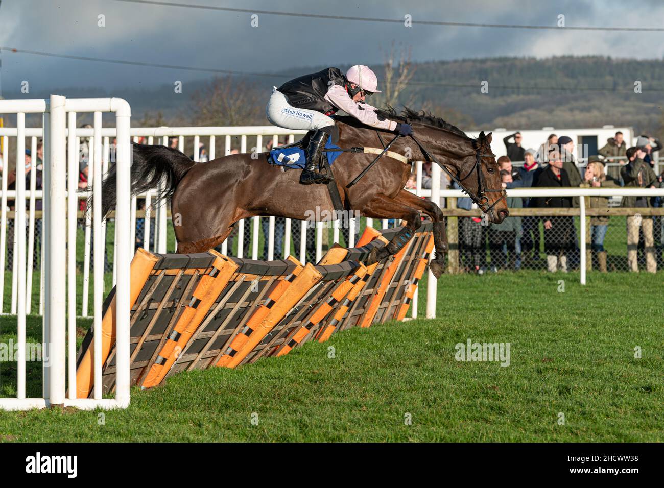 Poets Reflection läuft am zweiten Weihnachtsfeiertag 2021 in Wincanton Stockfoto