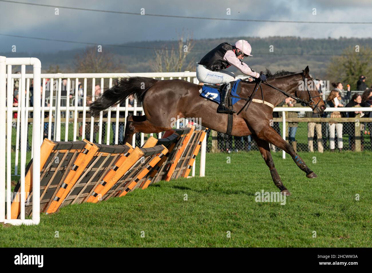 Poets Reflection läuft am zweiten Weihnachtsfeiertag 2021 in Wincanton Stockfoto
