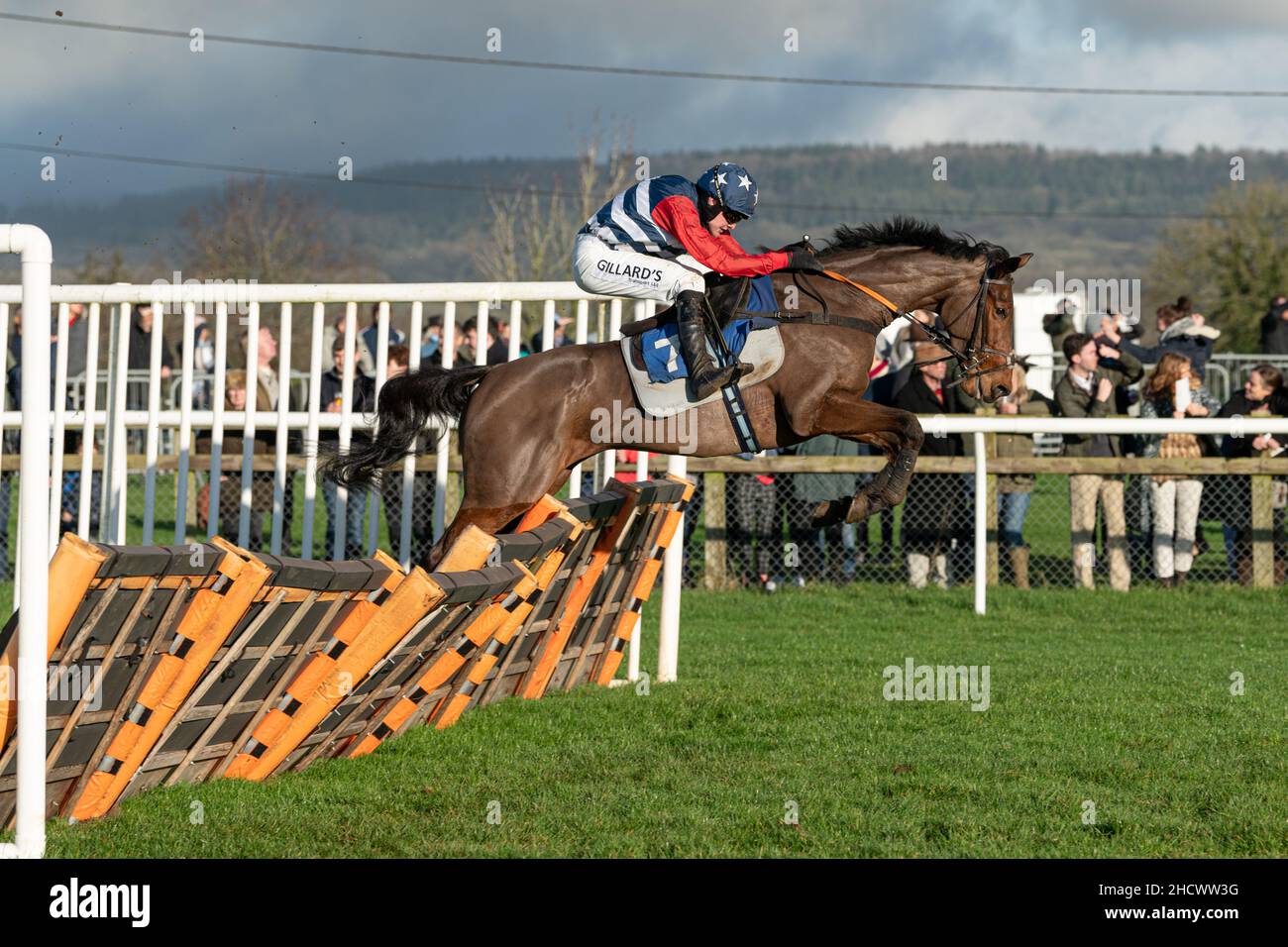 Novus Aditus läuft am zweiten Weihnachtsfeiertag 2021 in Wincanton Stockfoto