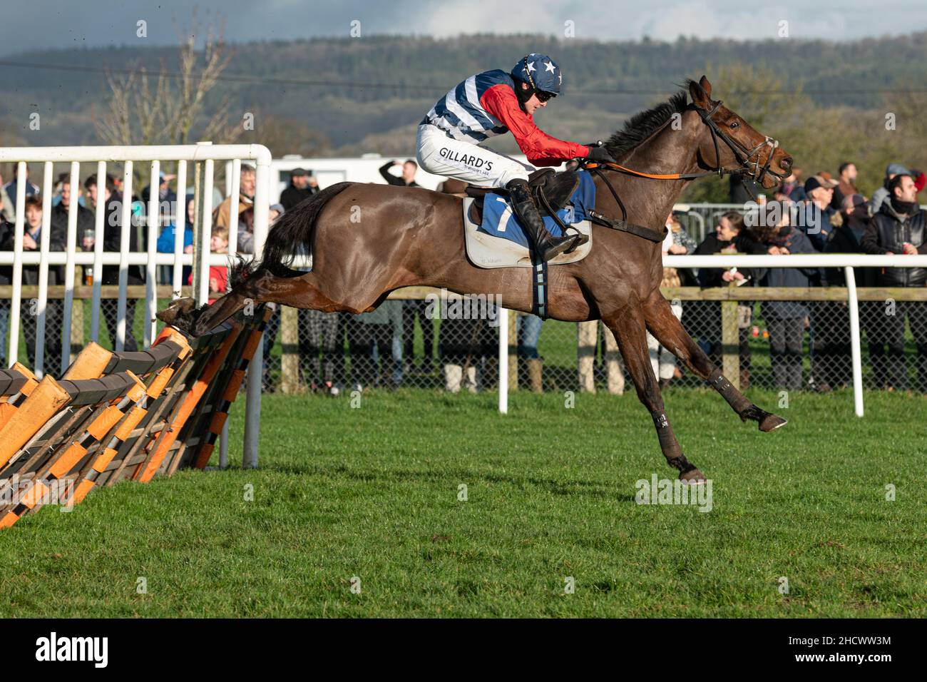 Novus Aditus läuft am zweiten Weihnachtsfeiertag 2021 in Wincanton Stockfoto