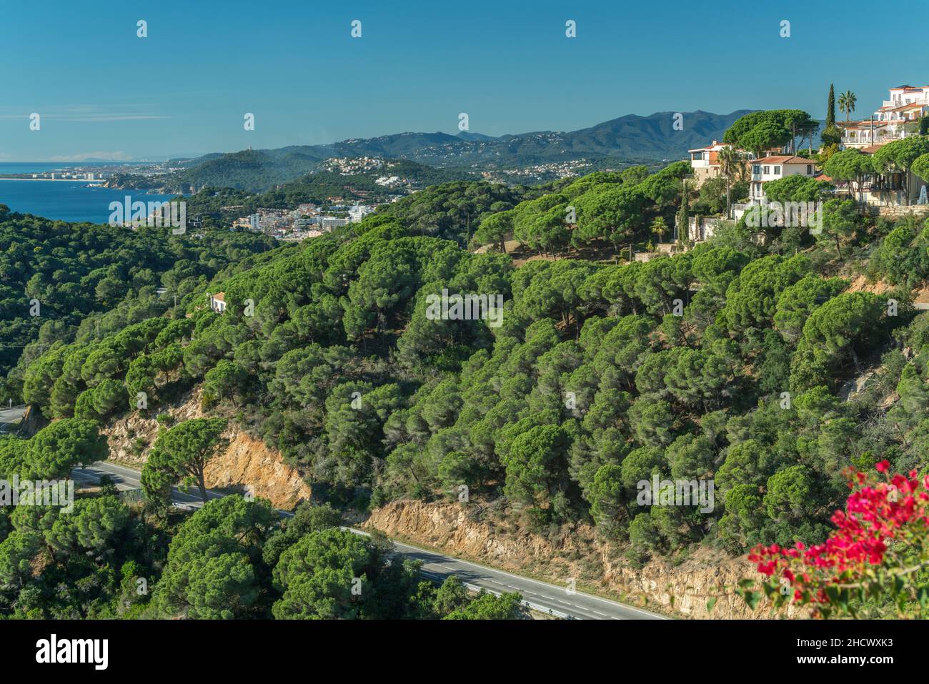 ROUTE GI-682 COAST ROAD LLORET DE MAR COSTA BRAVA GERONA KATALONIEN SPANIEN Stockfoto