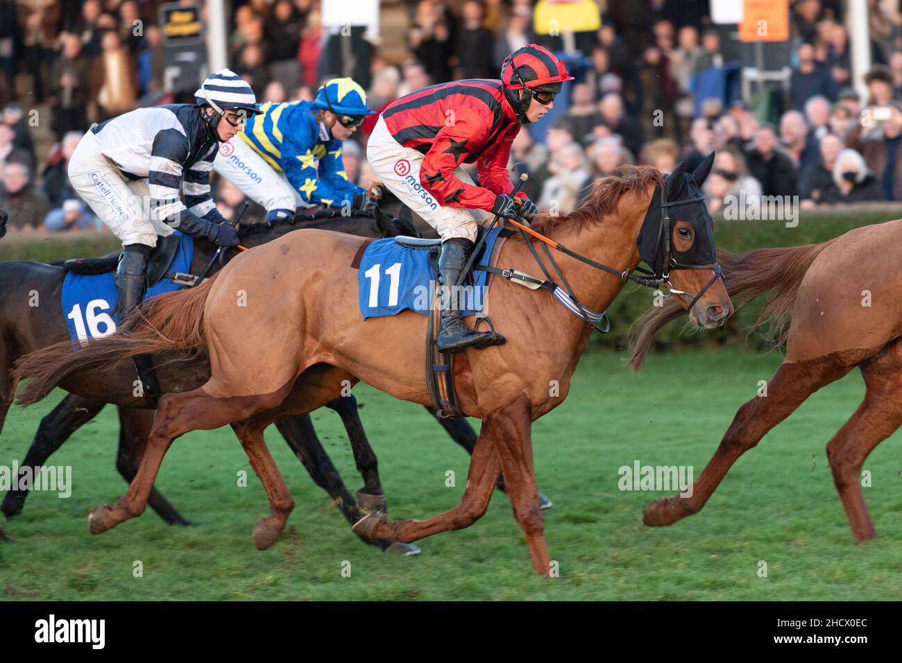 Holetown Hero, Ginge und Phoenix steigen auf Stockfoto