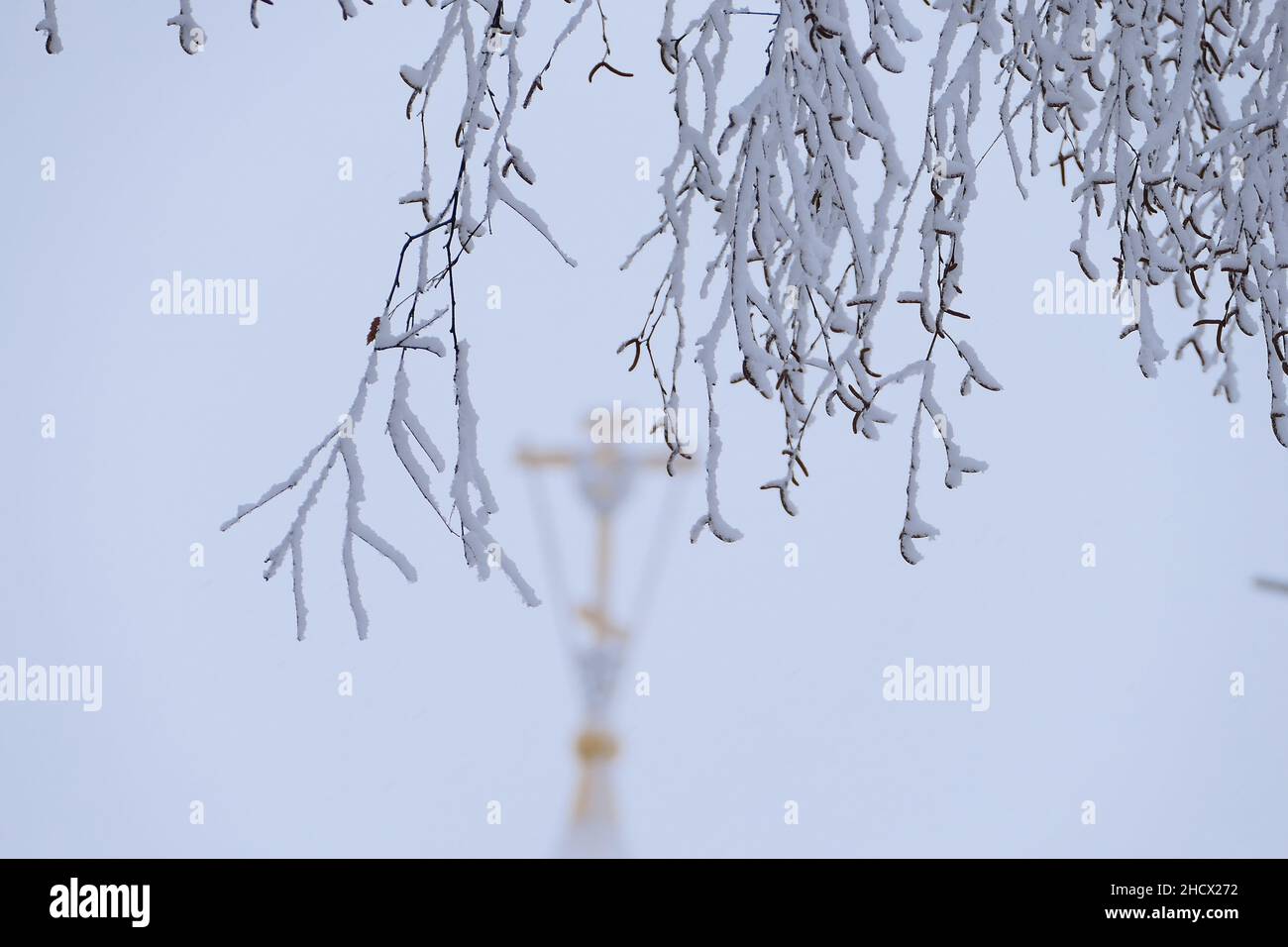 Winterlandschaft. Frost und Sonne. Die Äste des Baumes sind mit weißem, flauschigen Schnee bedeckt. Stockfoto
