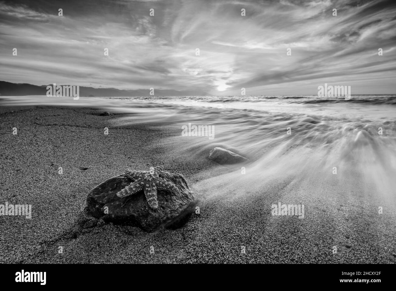 Ein Ozean Seascape Sunset Sky mit Einem detaillierten Starfish auf Einem Felsen, als Eine Welle im Schwarz-Weiß-Bildformat an die Küste stürzt Stockfoto