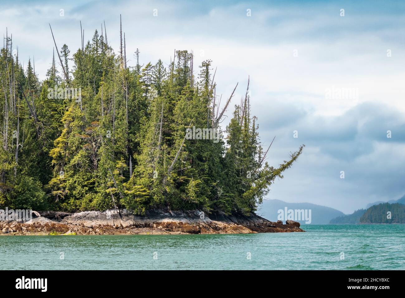 Eine bewaldete Küstenlinie der Insel nahe der Mündung des Kingcome Inlet (British Columbia). Die Gletscherschmelze trägt zur bemerkenswerten Farbe des Meerwassers bei. Stockfoto